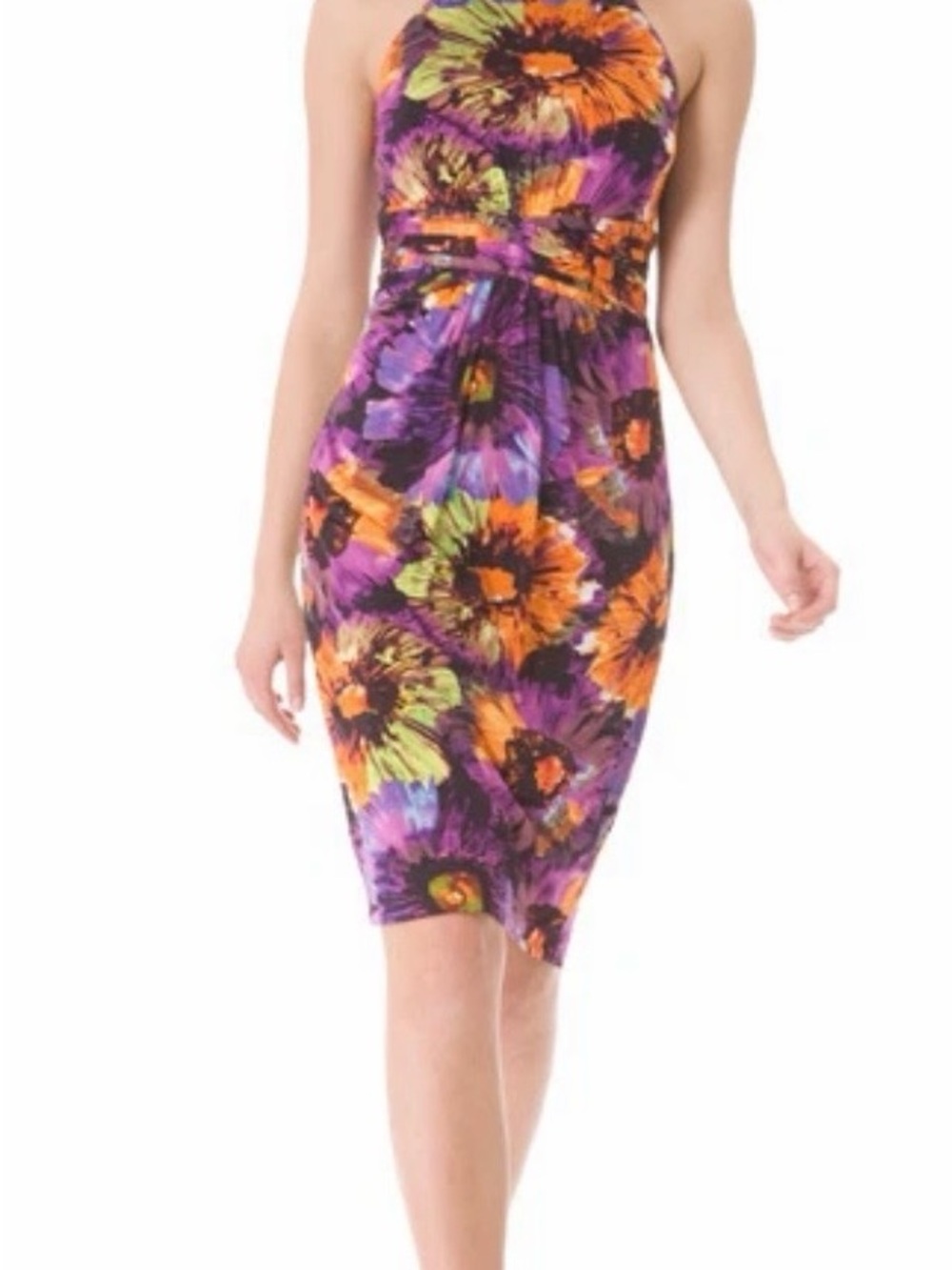 Anne Klein New York Zinna Floral Dress womens 4 retail $168